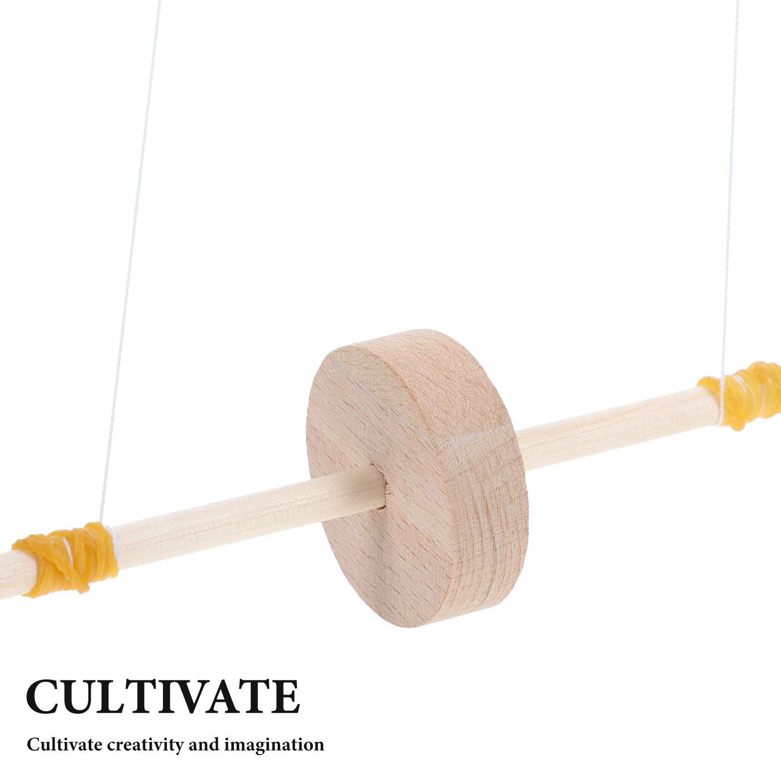 Holz-Experimentier-Set Maxwell – Science Project Kit Bewertung und Preis